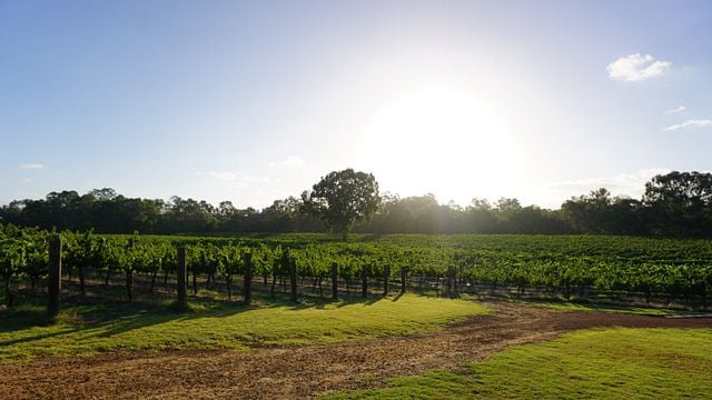 Upper Reach Winery