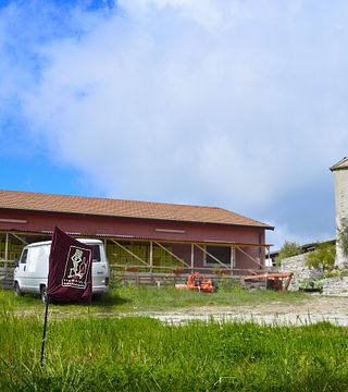 Degustação de Vinhos e Tour na Cantina Fosso Degli Angeli