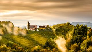 Winery Adam-Lieleg