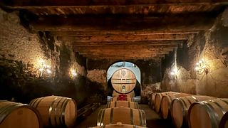 Radtour durch das Weingut Luberon