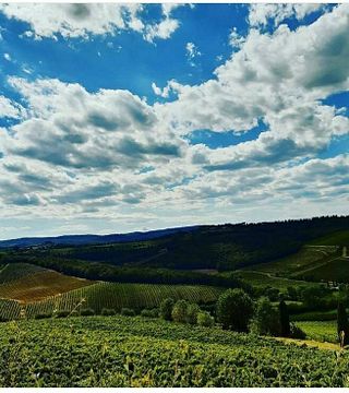Poderi Arcangelo