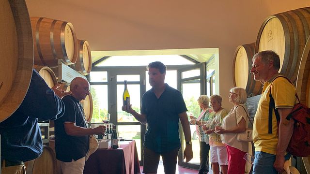 Degustação de vinhos: Nos bastidores da nossa vinícola iDivini
