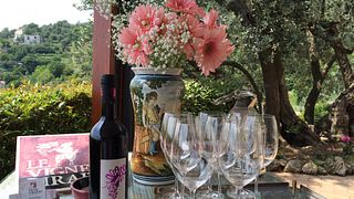 Wine Tasting and Tour at Le Vigne Di Raito
