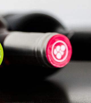 Cata de vinos estándar en Quinta Vale d'Aldeia