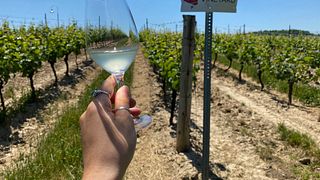 Flat Rock Cellars