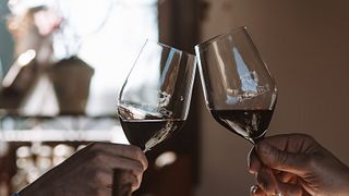 Tour pela vinícola + degustação avançada de vinhos e Pečâl