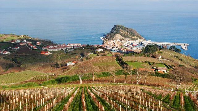 Gaintza Winery