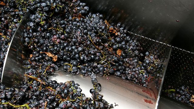 Degustazione di vini alle Bodegas Marqués de Reinosa