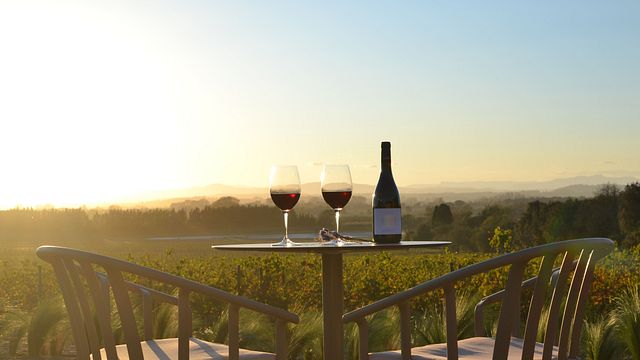 Besuch und Weinprobe Sunset Celler Mas Geli