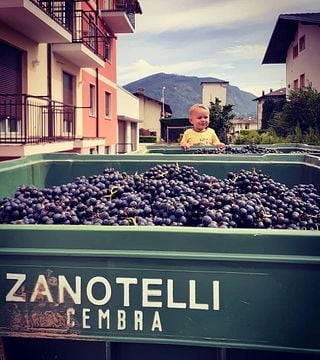 Zanotelli Winery