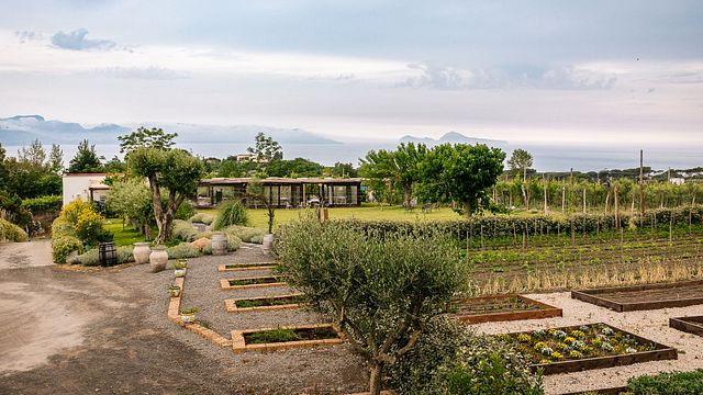 Wine Tasting & Lunch