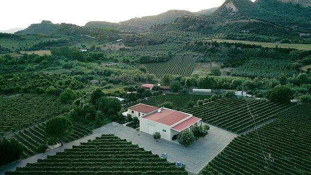 Degustazione di vini e tour presso l'Olympia Land Estate
