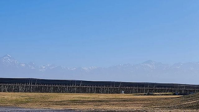 Degustação de vinhos e tour no Andeluz Organic Wine