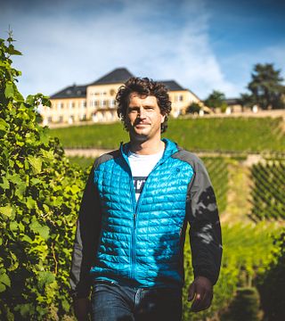 Wine Tasting and Tour at Weingut Trenz