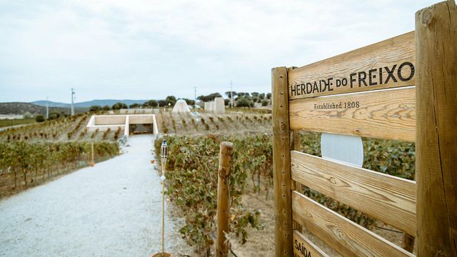 Visita + Cata de Vinos Colección Familiar en Herdade do Freixo