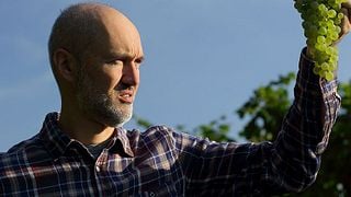 Dégustation de vins et visite chez AA Conte Loredan Gasparini