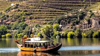 Premium privat Douro Valley Tour: Besök 2 vingårdar, med lunch och en flodkryssning