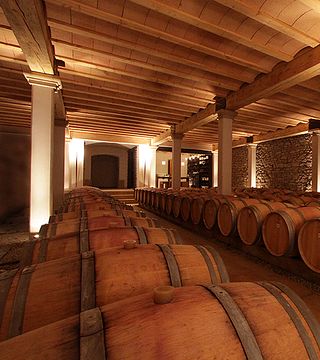 Degustazione di vini e visita allo Château St. Jacques D'Albas