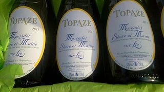Loire Valley Vineyard Tour & Wine Tasting at Gaec Topaze