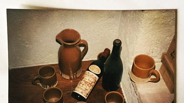 Umbria Wine & Vineyard Journey at Benincasa