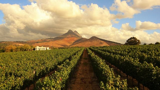 Coastal Region Wine & Cheese Pairing at Mitre’s Edge
