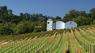Ladybird Vineyards