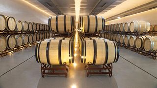 Visita e degustazione di vini a Quinta do Paral