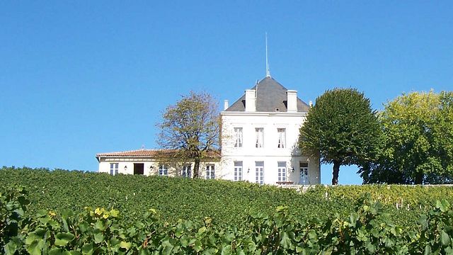 Panier Gourmand: Wine tasting and tour at Château Tournefeuille