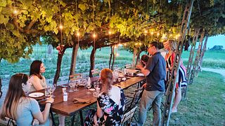 Vinprovning och naturskön vingårdspromenad på Annafrancesca Winery