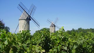Weinprobe und Führung im Château Beauséjour
