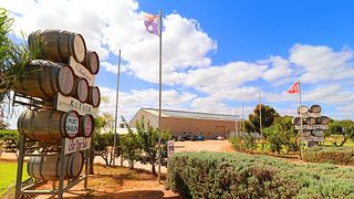 Weinprobe und Tour bei Salena Estate Wines