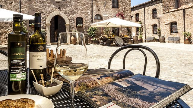 Les Quatre Magnifiques – Expérience Vin Blanc bio