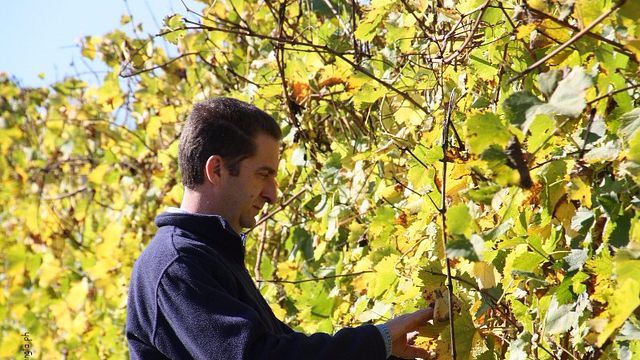 Dégustation et visite de vins à L'armangia Az. Agricola
