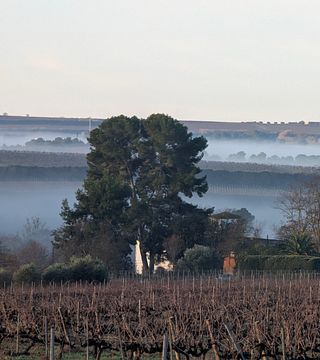 Beginnen Sie den Tag mit einem malerischen katalanischen Frühstück im Weingut Eudald Massana