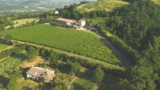 Emilia-Romagna Organic Wine & Gourmet Tour