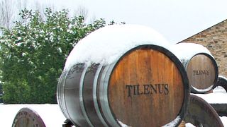 Degustazione di vini e visita alle Bodegas Estefania
