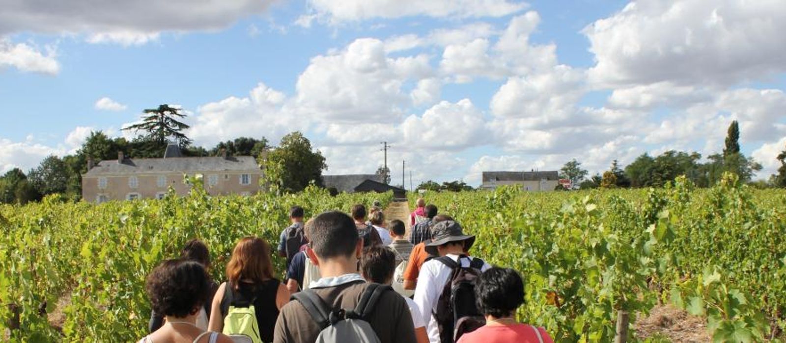 Vignes Vins Randos-(c)ANJOU TOURISME-1721-AnjouTourisme