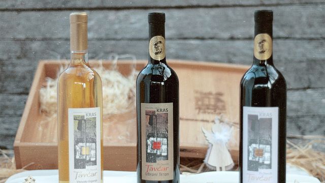 Weintour und Verkostung im Vinska Klet Tavčar - Pri Starčih