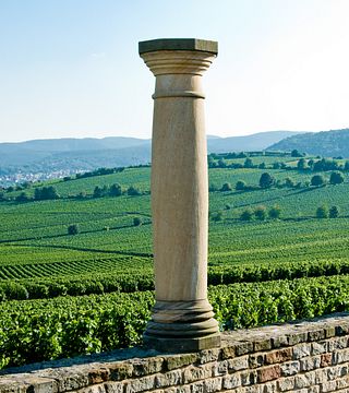 Pfalz Wine Adventure: Tasting & Vineyard Tour at Pfeffingen