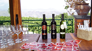 Descubra o Monte Etna e deguste vinhos com uma visita guiada