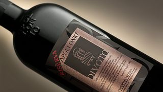 Mani del Sud Experience på Apollonio 1870 Winery