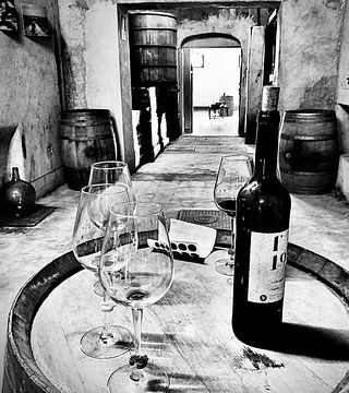 Cata de vinos y visita guiada populares en Cellers Blanch