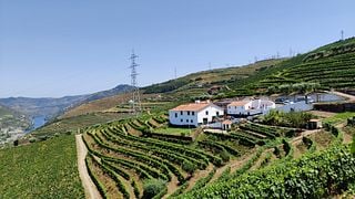 Prova de Vinhos com Almoço na Quinta Dos Poços