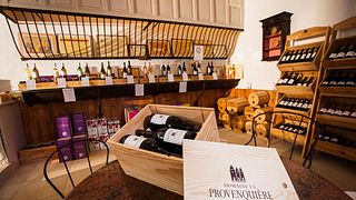 Visita e degustazione dalla vigna al bicchiere | Domaine La Provenquière