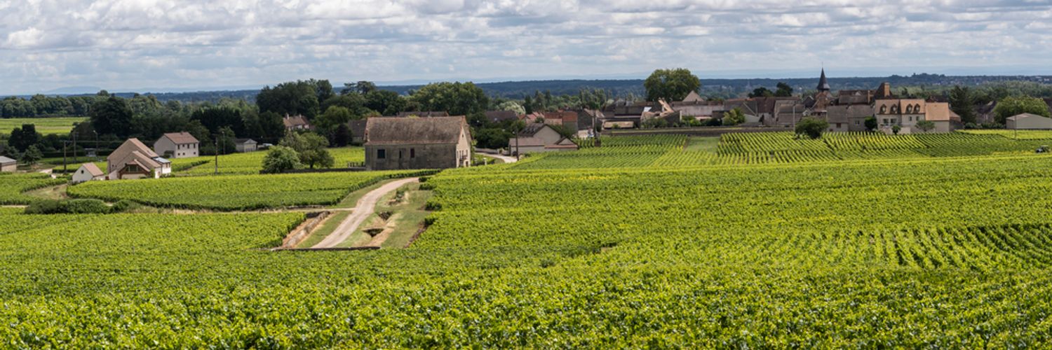 Chassagne-Montrachet Appellation Burgundy