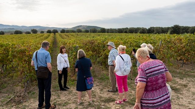 Visita della cantina con un sommelier