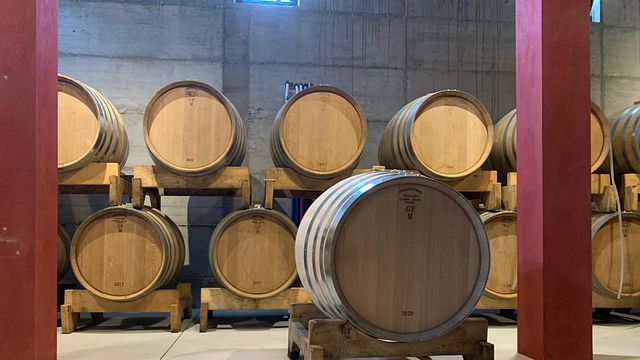 Cata de vinos y visita guiada en Domaine Koquelicot