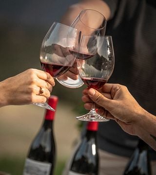 Visit and Tasting in the Vineyards