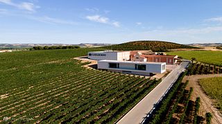 Bodegas Carramimbre