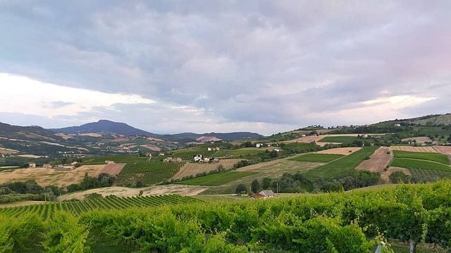 Azienda Agricola Biologica Sgaly Di Tommaso Sgalippa